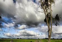 开云体育APP下载-超越重力与想象！赛场上的技艺神话正在重写人类极限