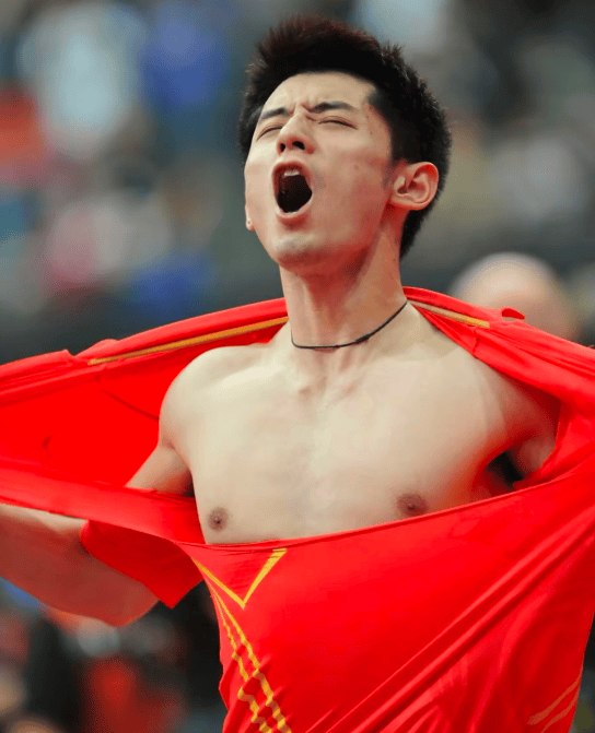 韩国队逆转波兰队，张继科高光表现的简单介绍